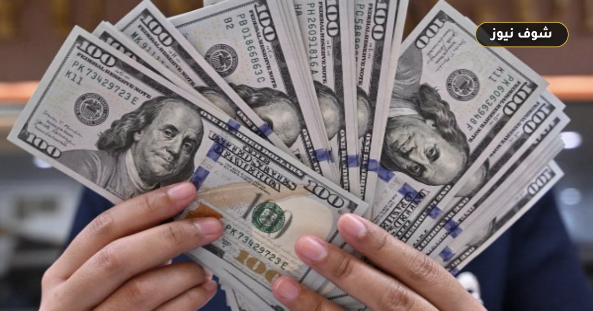 الدولار يتراجع في البنوك المصرية وبنك الإمارات دبي يقدم أقل سعر 5 الدولار يتراجع في البنوك المصرية وبنك الإمارات دبي يقدم أقل سعر