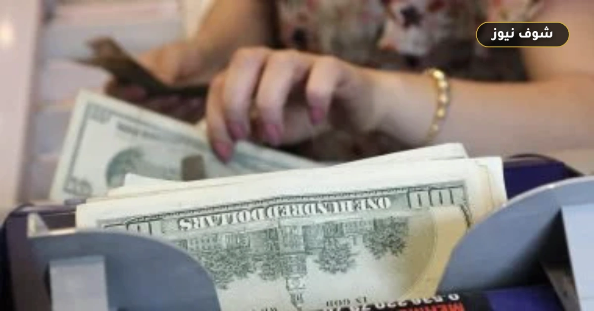 سعر الدولار اليوم الجمعة 8 مايو 2026.. استقرار في البنوك يفرض الهدوء على سوق الصرف