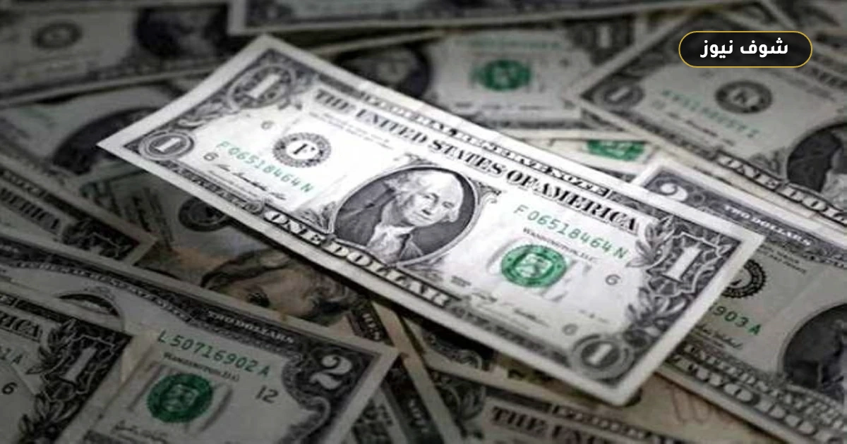 سعر الدولار اليوم السبت 2 مايو يتجاوز 53 جنيه للبيع بزيادة 22 قرشاً