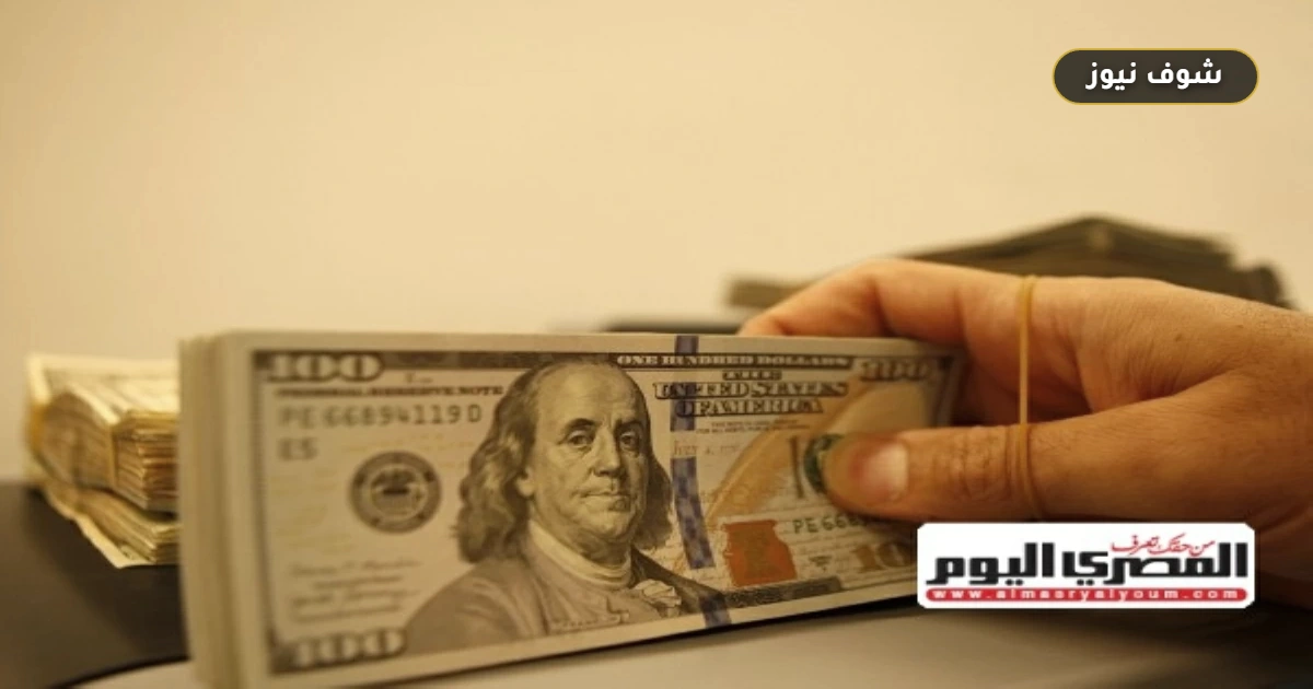 سعر الدولار في مصر: تراجع مفاجئ أم فرصة شراء؟