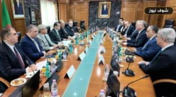 شراكة الغاز بين مصر والجزائر: ‘بتروجت’ تفوز بمشروع استراتيجي بعد اتفاقيات جديدة