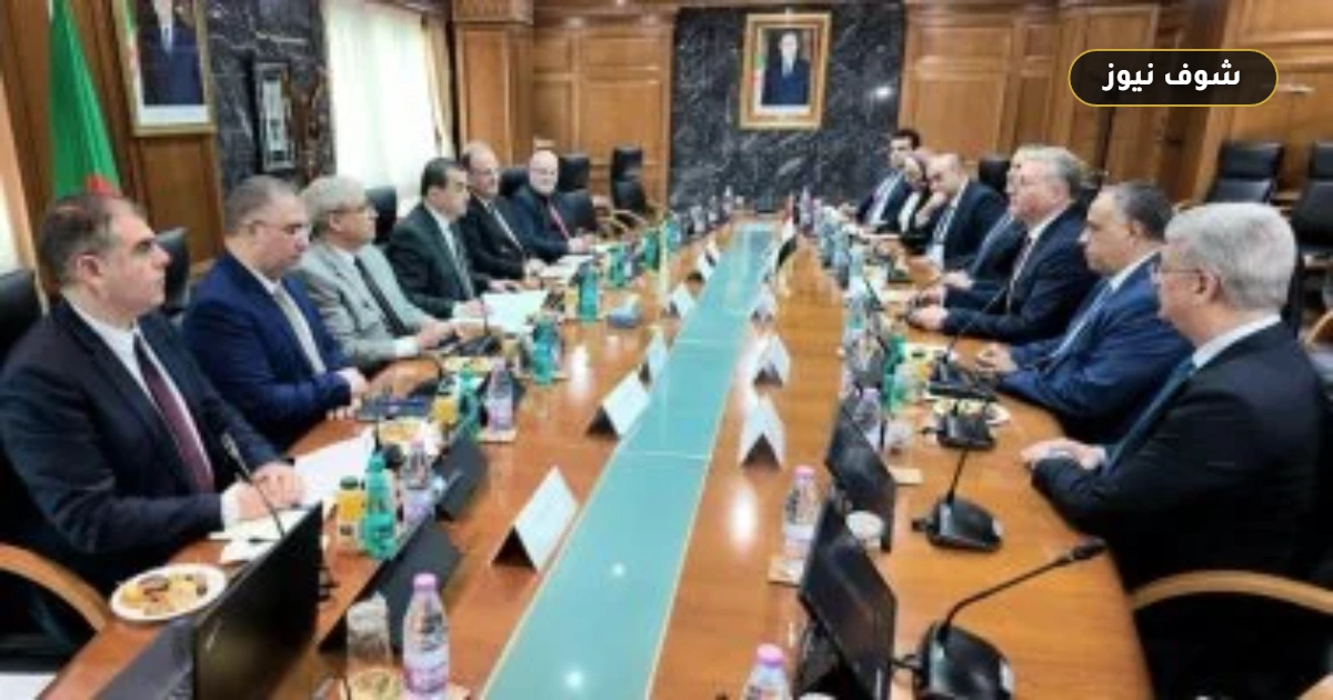 شراكة الغاز بين مصر والجزائر: 'بتروجت' تفوز بمشروع استراتيجي بعد اتفاقيات جديدة 5 شراكة الغاز بين مصر والجزائر: ‘بتروجت’ تفوز بمشروع استراتيجي بعد اتفاقيات جديدة