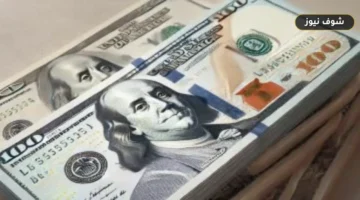 الجنيه المصري يتصدر الأسواق الناشئة ويهبط بالدولار دون 50 جنيهاً
