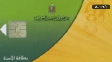 الكارت الموحد والدعم النقدي ركائز التحول الرقمي في الاقتصاد المصري