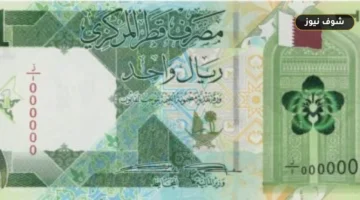 الريال القطري يستقر أمام الجنيه المصري اليوم الجمعة 19 يونيو 2026