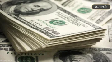 أقل سعر دولار اليوم في البنوك المصرية [تحديث الأحد 21 يونيو]