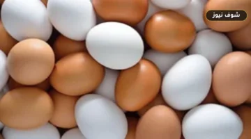 أسعار البيض اليوم الأربعاء ترتفع في المزارع والأسواق بقيمة 4.5 جنيه