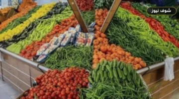 أسعار الخضروات والفاكهة بسوق العبور اليوم الأربعاء لتداولات الجملة