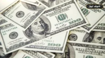 استقرار سعر الدولار عند 51.78 جنيه في البنك المركزي وتفاوت طفيف في تعاملات البنوك المصرية اليوم