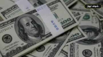 استقرار سعر الدولار مقابل الجنيه في البنوك المصرية اليوم الأربعاء 10 يونيو