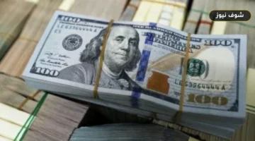 استقرار سعر الدولار مقابل الجنيه في البنوك المصرية قبل تعاملات الأربعاء 10 يونيو 2026