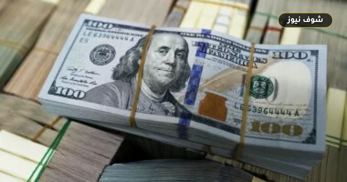 استقرار سعر الدولار مقابل الجنيه في البنوك المصرية قبل تعاملات الأربعاء 10 يونيو 2026