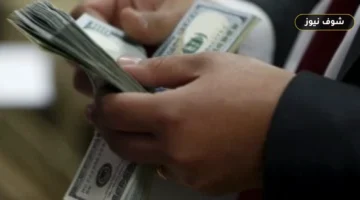 استقرار سعر الدولار مقابل الجنيه في البنوك المصرية اليوم 10 يونيو 2026