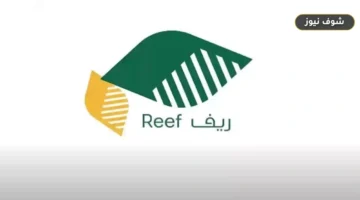 شروط التسجيل في دعم ريف وخطوات الاستعلام عن الأهلية (إجراء حاسم بعد 90 يوماً)