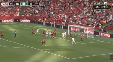فين سورمان يمنح نيوزيلندا التقدم أمام مصر في كأس العالم 2026
