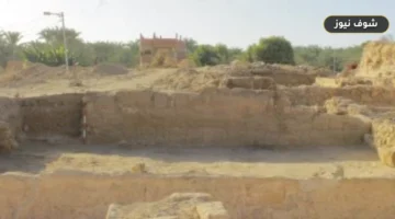 كشف أثرى جديد لعناصر معمارية من معبد القصر القديم بالواحات البحرية