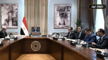 مصر تنشئ وحدة حكومية مستقلة لريادة الأعمال وتحدد 6 مستهدفات استراتيجية