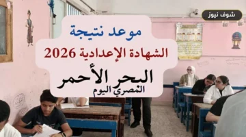 موعد ظهور نتيجة الشهادة الإعدادية في محافظة البحر الأحمر الترم الثاني 2026 ورابط الاستعلام الرسمي