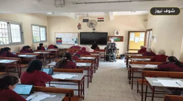 رابط استخراج نتيجة الشهادة الإعدادية محافظة البحيرة 2026 برقم الجلوس | موعد الاعتماد الرسمي