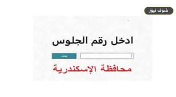 نتيجة الشهادة الإعدادية محافظة الإسكندرية 2026 برقم الجلوس عبر الرابط الرسمي