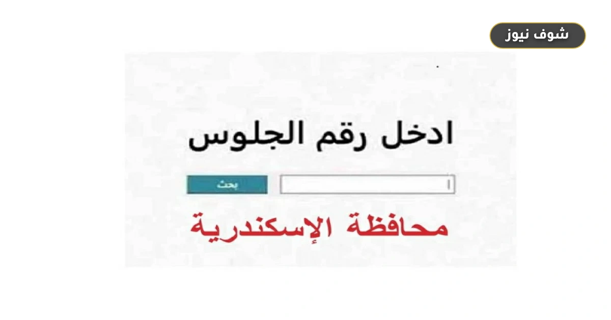 نتيجة الشهادة الإعدادية محافظة الإسكندرية 2026 برقم الجلوس عبر الرابط الرسمي 5 نتيجة الشهادة الإعدادية محافظة الإسكندرية 2026 برقم الجلوس عبر الرابط الرسمي