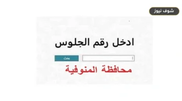 رابط نتيجة الشهادة الإعدادية بالمنوفية 2026 برقم الجلوس عبر البوابة الإلكترونية