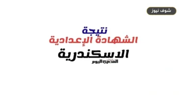 رابط نتيجة الشهادة الإعدادية في محافظة الإسكندرية الترم الثاني 2026 برقم الجلوس