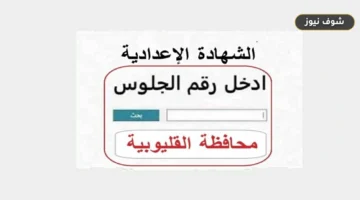 رابط نتيجة الشهادة الإعدادية بالقليوبية 2026 يتيح الاستعلام برقم الجلوس فور اعتمادها