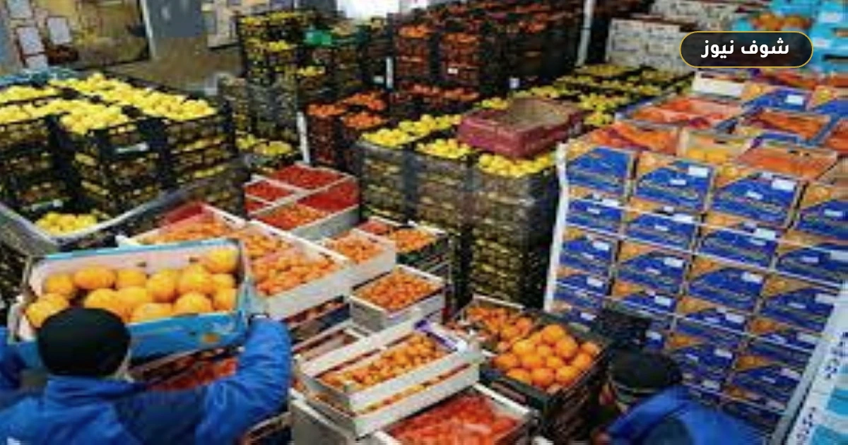 صادرات الصناعات الغذائية المصرية إلى أمريكا تقفز لـ 438 مليون دولار 5 صادرات الصناعات الغذائية المصرية إلى أمريكا تقفز لـ 438 مليون دولار