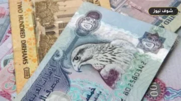 سعر الدرهم الإماراتي يتراجع 56 قرشا أمام الجنيه المصري اليوم في البنوك
