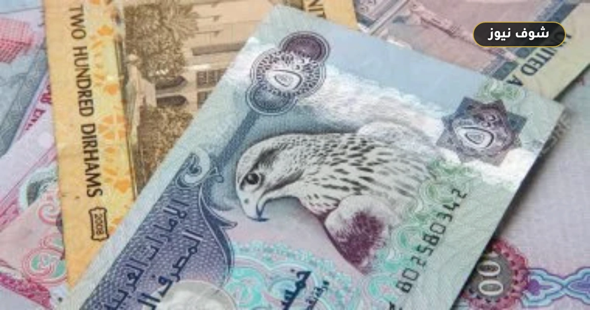سعر الدرهم الإماراتي يتراجع 56 قرشا أمام الجنيه المصري اليوم في البنوك