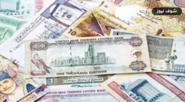 سعر الدولار اليوم الأربعاء 10 يونيو 2026 في البنوك المصرية