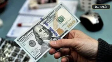 سعر الدولار اليوم في البنوك المصرية | تراجع طفيف للعملة الخضراء