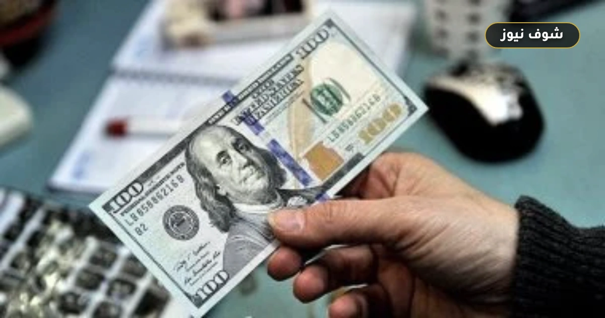 سعر الدولار اليوم في البنوك المصرية | تراجع طفيف للعملة الخضراء