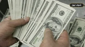 سعر الدولار اليوم في البنوك المصرية | استقرار الأخضر عند 49.67 جنيه