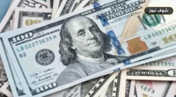 سعر الدولار اليوم الجمعة مقابل الجنيه المصري يسجل 49.87 جنيه للشراء بالبنوك
