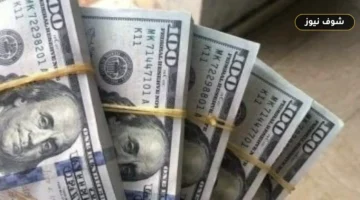سعر الدولار اليوم في مصر يسجل 49.80 جنيه بالبنك التجاري الدولي وتحديثات البنوك ليوم الخميس 18 يونيو 2026