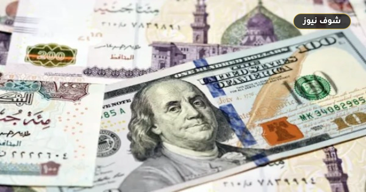 سعر الدولار اليوم في مصر مقابل الجنيه بعد عودة البنوك للعمل 5 سعر الدولار اليوم في مصر مقابل الجنيه بعد عودة البنوك للعمل