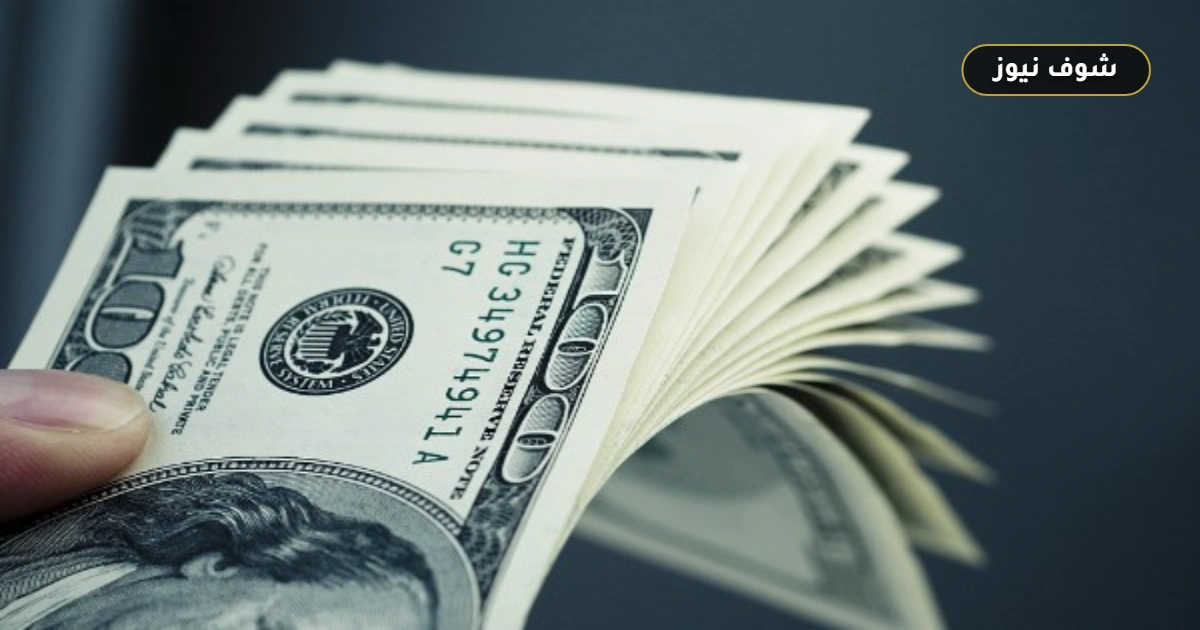 سعر الدولار اليوم في مصر: كسر حاجز الـ 50 جنيهاً في ختام التعاملات
