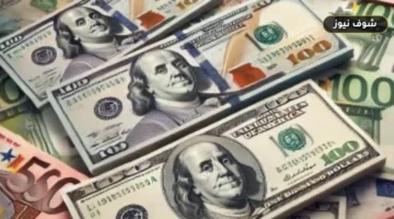 سعر الدولار لحظة بلحظة | استقرار الأخضر عند 49.85 جنيه بالبنوك المصرية