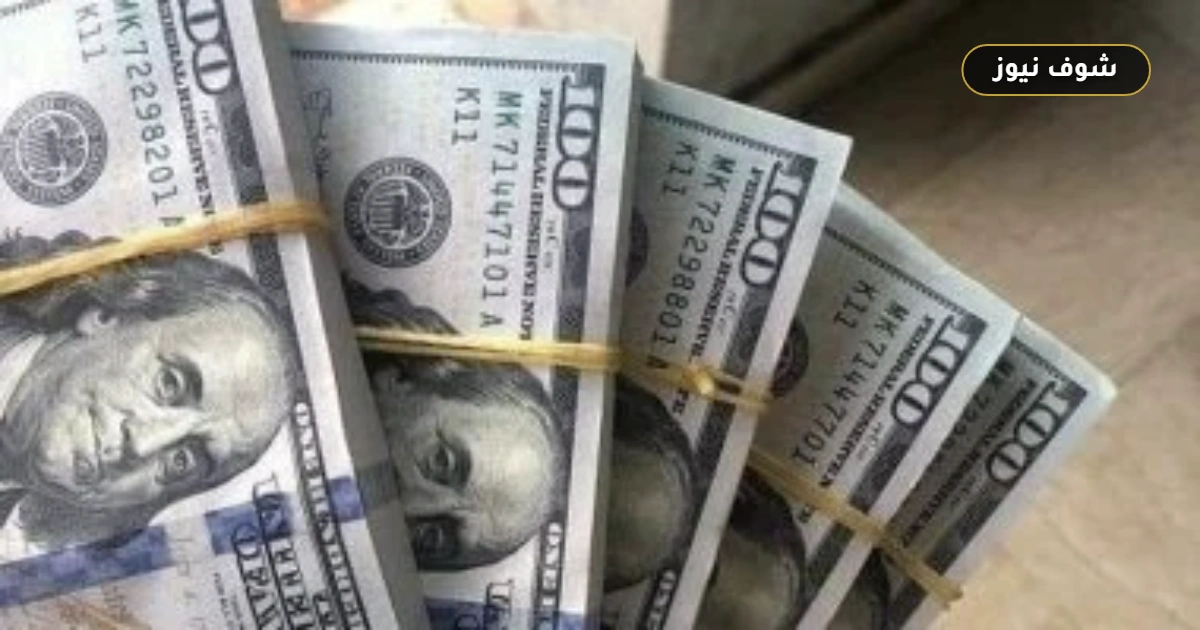 سعر الدولار مقابل الجنيه اليوم الأحد: العملة تستقر تحت الـ50 5 سعر الدولار مقابل الجنيه اليوم الأحد: العملة تستقر تحت الـ50