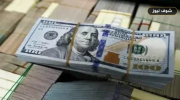 سعر الدولار مقابل الجنيه المصري اليوم الأحد بعد عودة البنوك للعمل