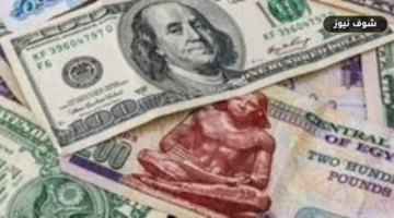 سعر الدولار في مصر يتراجع دون 50 جنيهاً ويسجل أكبر خسارة أسبوعية منذ مارس