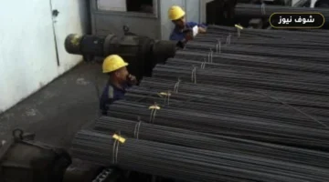 سعر الحديد اليوم في مصر «تحديث الأحد 21 يونيو»