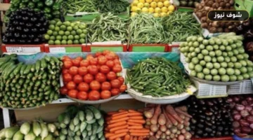 سعر الخضروات والفاكهة اليوم «البطاطس بـ15 والطماطم تسجل 17 جنيها»
