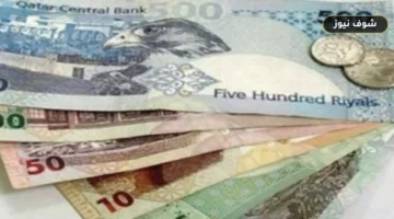 سعر الريال القطري مقابل الجنيه المصري اليوم الأحد 21 يونيو في البنوك