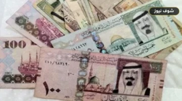سعر الريال السعودي في مصر الآن مقابل الجنيه بختام تعاملات البنوك