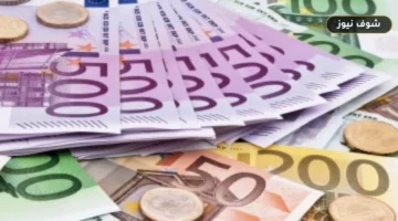 سعر اليورو اليوم الأحد 21 يونيو 2026 في البنوك المصرية