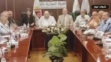 شعبة مخابز الجيزة تطالب بمراجعة تكلفة رغيف الخبز لتناسب أسعار التشغيل