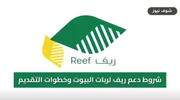 شروط دعم ريف لربات البيوت 1448 وخطوات التقديم للحصول على 54 ألف ريال